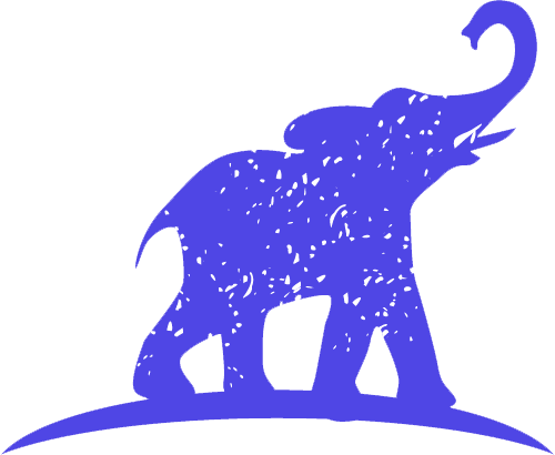 savanhu logo